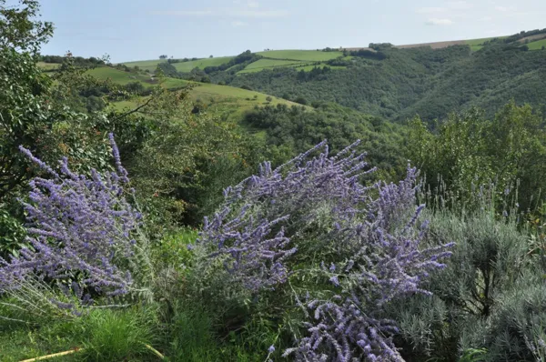Vue à partir côté Sud du Hameau