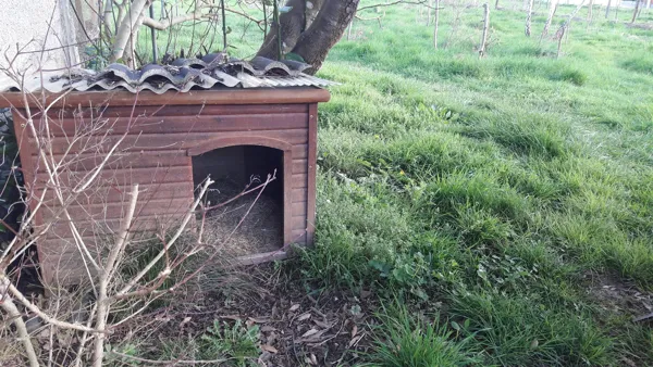 Niche pour les chiens