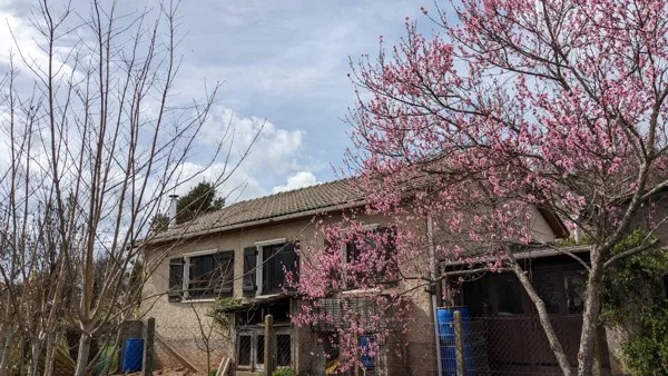Vue du poulailler derrière la maison