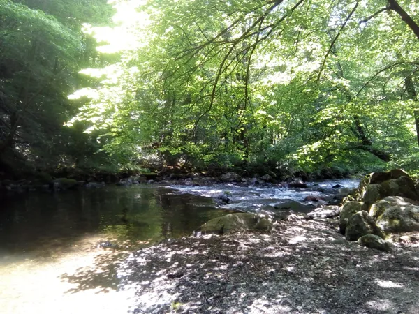Ruisseau La Boralde à 1 km