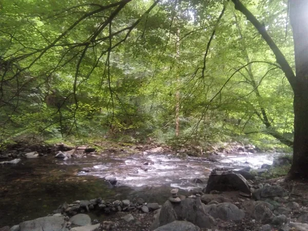 Ruisseau La Boralde à 1 km