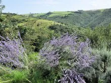 Vue côté Sud du hameau, 