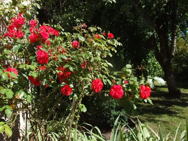 Gîte l'Oustal occitan