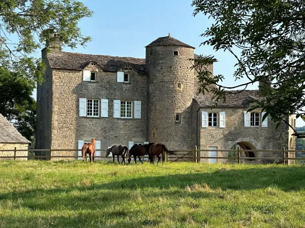 Les Distinguées - Manoir de Bessodes