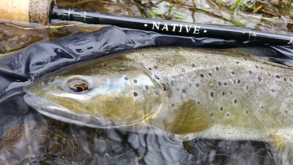 Aveyron Pêche et Nature, Aveyron Pêche et Nature