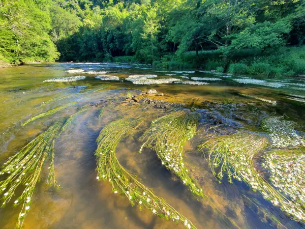 Aveyron Pêche et Nature, Aveyron Pêche et Nature