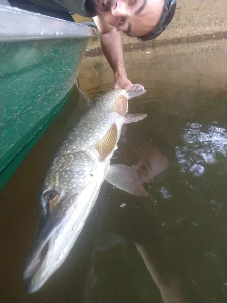 Aveyron Pêche et Nature, Aveyron Pêche et Nature