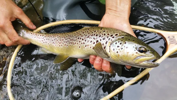 Aveyron Pêche et Nature, Aveyron Pêche et Nature