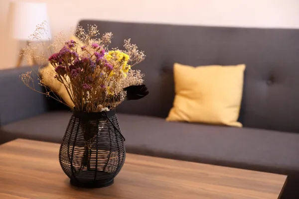 Les Thermes de Jeannot - 1er école