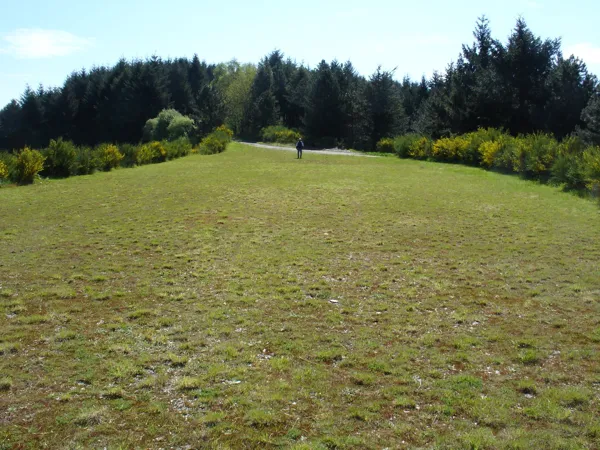 terrain initiation swin golf