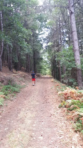 Chemin Randonnée versant Sud du Hameau