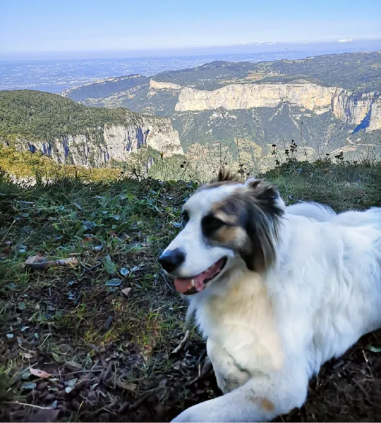 Camping Le Taranis, Camping Le Taranis