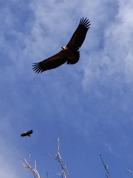 Camping Le Taranis (groupes), Camping Le Taranis