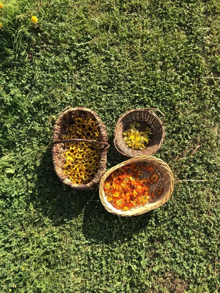 Cazelle, OFFICE DE TOURISME DU REQUISTANAIS