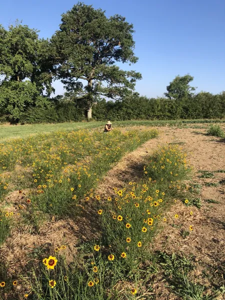 Cazelle, OFFICE DE TOURISME DU REQUISTANAIS