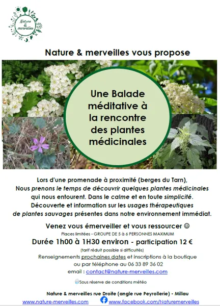 Balade à la rencontre des plantes médicinales - Nature et Merveilles