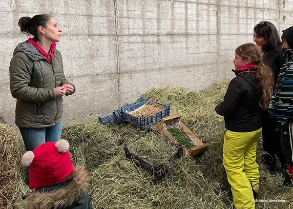 Visite de ferme Jeune Montagne, Emilie Peigne - Jeune Montage