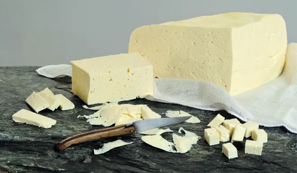 Visite de la fromagerie Jeune Montagne, Mr Meravilles