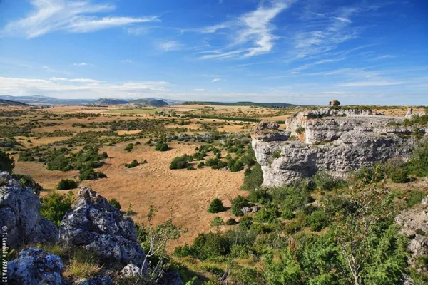 Des gorges de la Dourbie au plateau du Larzac, 