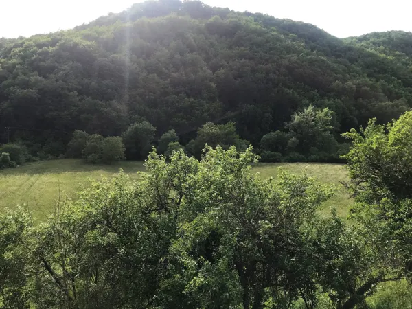 Chambres et table d'hôtes Abbaye Road, Abbaye Road