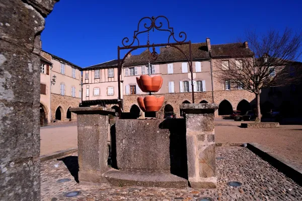 Oreilles en balade en voiture