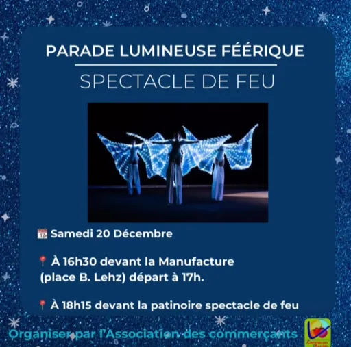 Parade lumineuse féérique et spectacle de feu