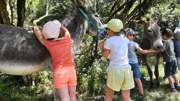 L'Ane Rêveur - Balade avec des ânes bâtés, L'Ane Rêveur - Balade avec des ânes bâtés