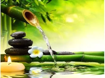 Sophrologie : séance Collective