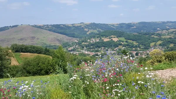 Vue sur le Puy de Wolf, 