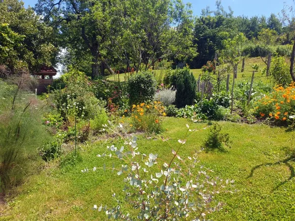 Quelques fleurs, Gîte Belle Vue