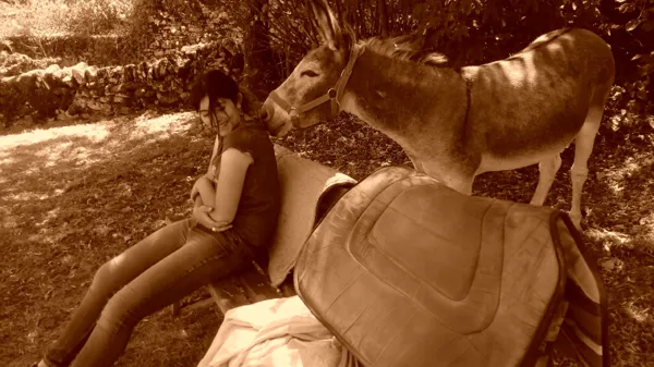 L'Ane Rêveur -Moments de complicité