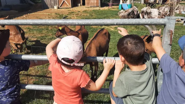 L'Ane Rêveur - Balade avec des ânes bâtés
