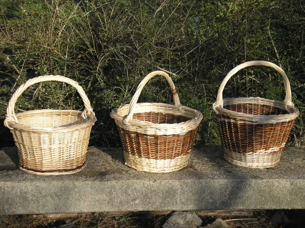 L'Ane Rêveur -Stage de Vannerie