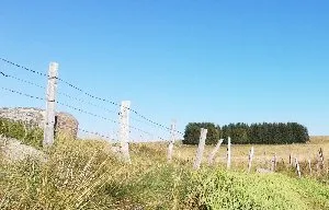 L'Autre Maison - L'Atelier, L'Étable de Lilou