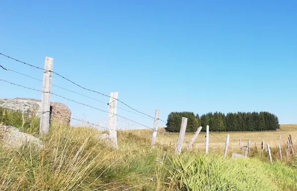 L'Autre maison - L'Aubrac, 