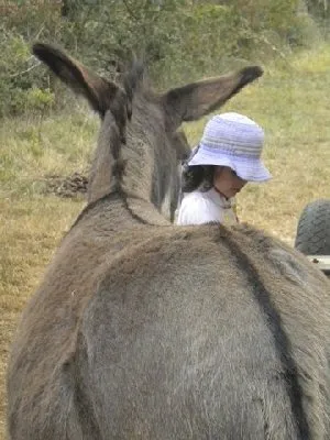 L'ANE REVEUR -, OFFICE DE TOURISME DE BOZOULS