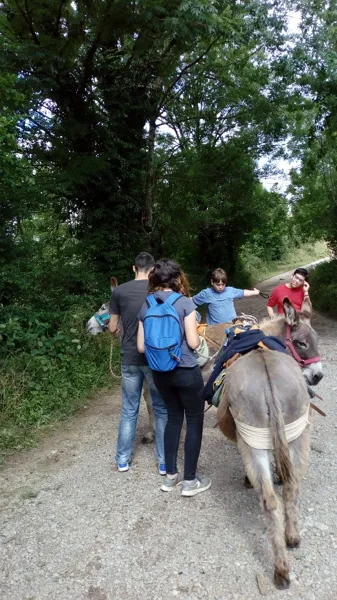 L'Ane Rêveur - Mais que d'aventures!!!, L'Ane Rêveur - Balade avec des ânes bâtés