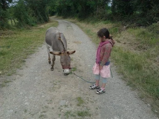 L'ÂNE RÊVEUR - BALADE AVEC UN ÂNE /VANNERIE, OFFICE DE TOURISME DE BOZOULS
