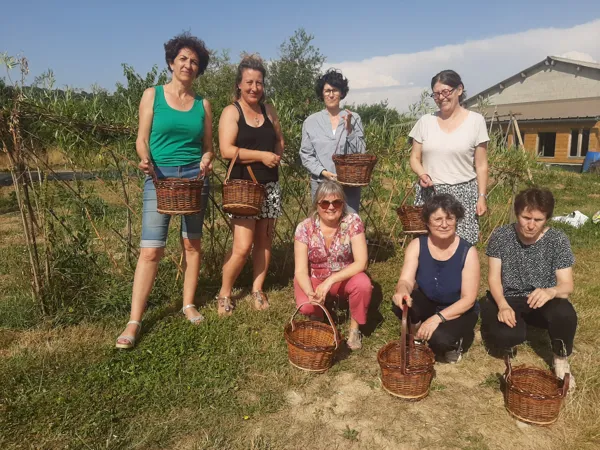 Stage réalisation d'un panier rond, m