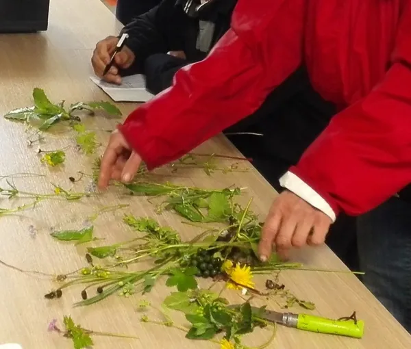 Capucine et Marjolaine- Découverte de la nature et conseillère en santé naturelle