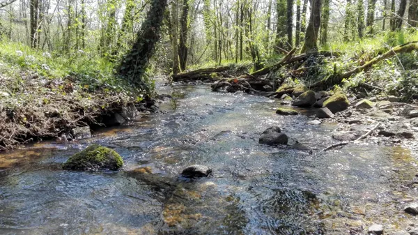 Le Temps Serein, ©LeTempsSerein