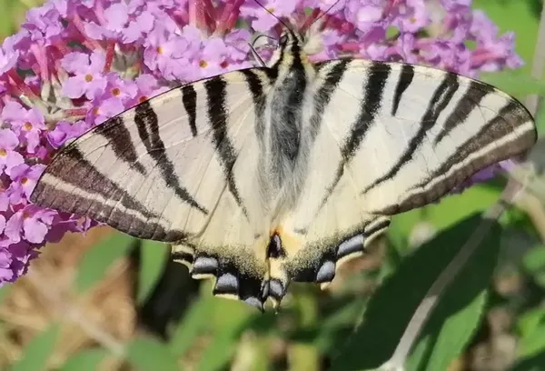 Le Temps Serein, ©LeTempsSerein