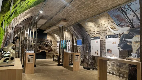 Préhistoire : l'abri sous roche de Roquemissou, Photothèque Département de l’Aveyron
