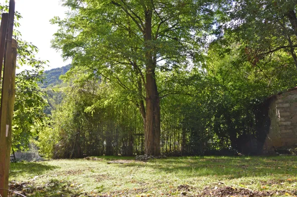 Chez Jeanne, André Vales