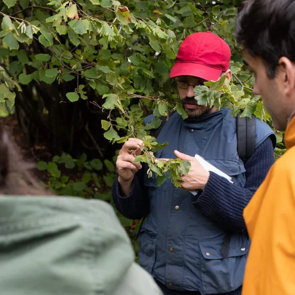 Balade Botanique - Plantes de saison au fil des mois