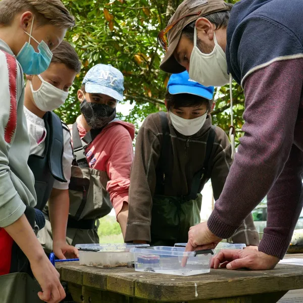L'O à la Mouche, L'O à la mouche