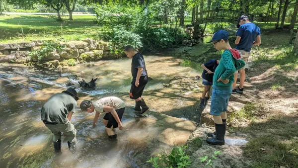 L'O à la Mouche, L'O à la mouche
