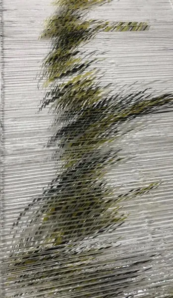 Roselyne Blanc Bessière, ROSELYNE BLANC BESSIERE