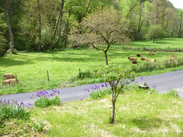 Gîte de Cruou, Gîte de Cruou