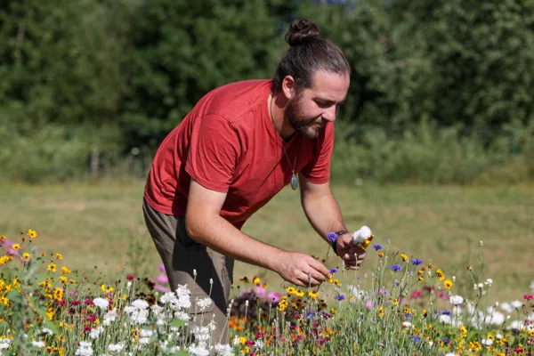 Balade plantes sauvages comestibles à Sanvensa avec Michael Fayret